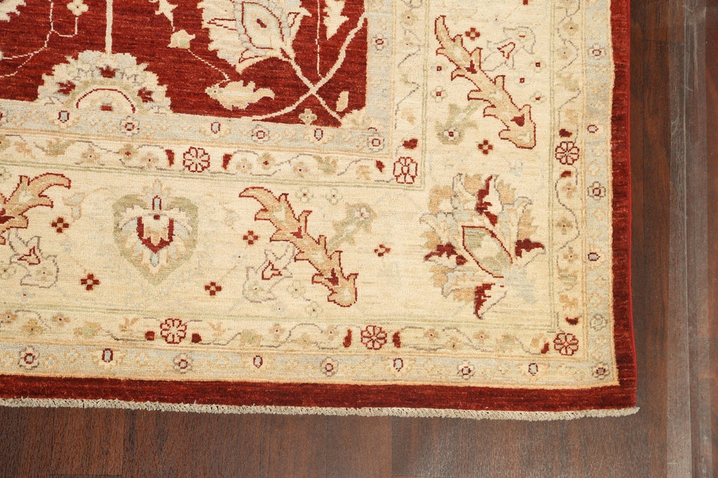 Vegetable Dye Floral Peshawar Chobi Oriental Area Rug 10x14