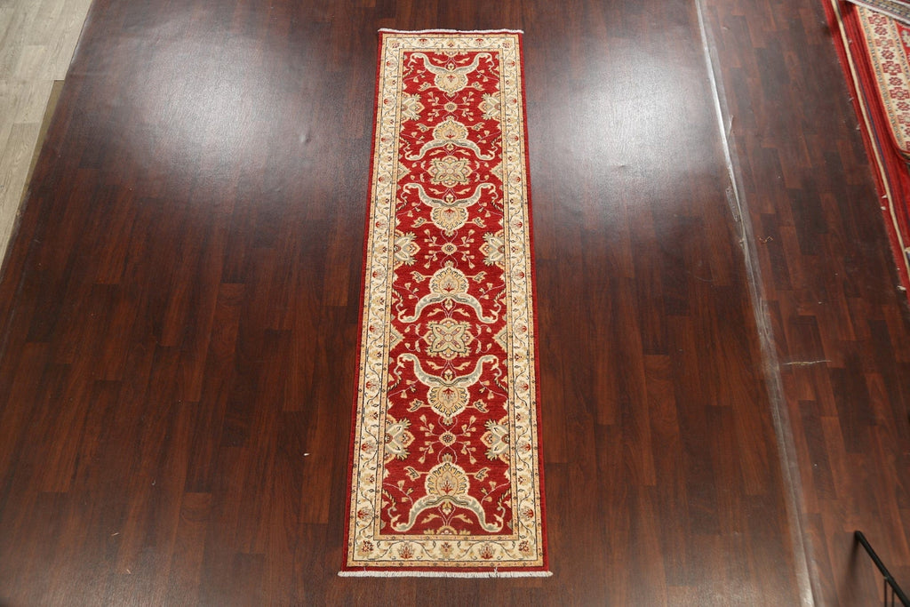 Vegetable Dye Floral Ziegler Oriental Runner Rug 3x10