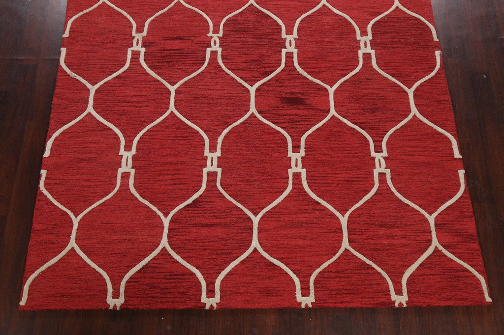 Trellis Area Rug 8x11