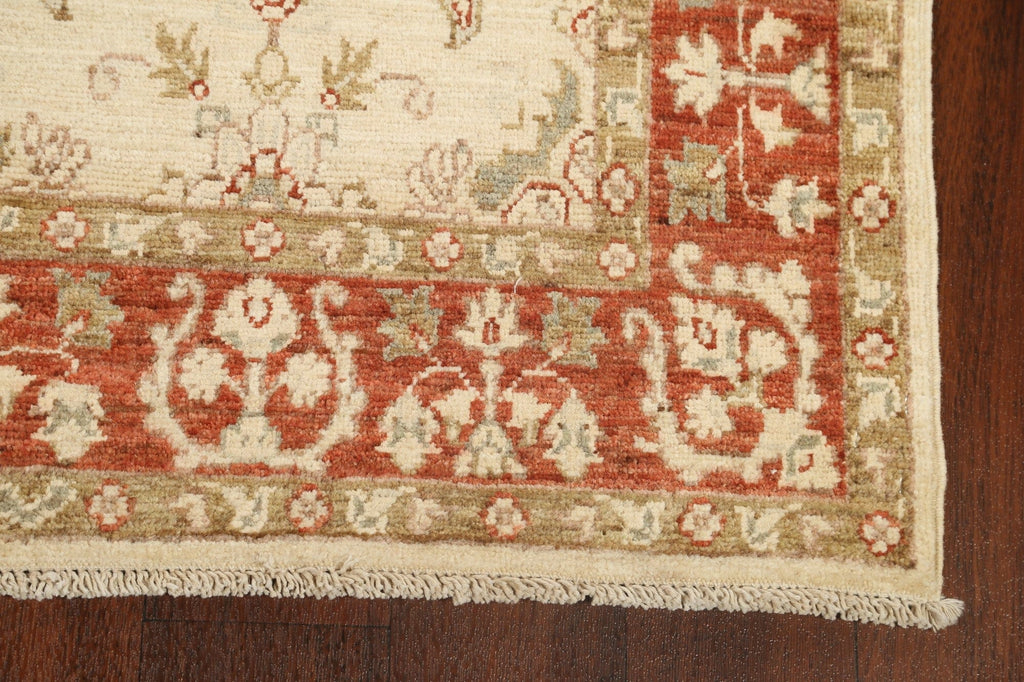 Floral Peshawar Chobi Oriental Area Rug 3x6