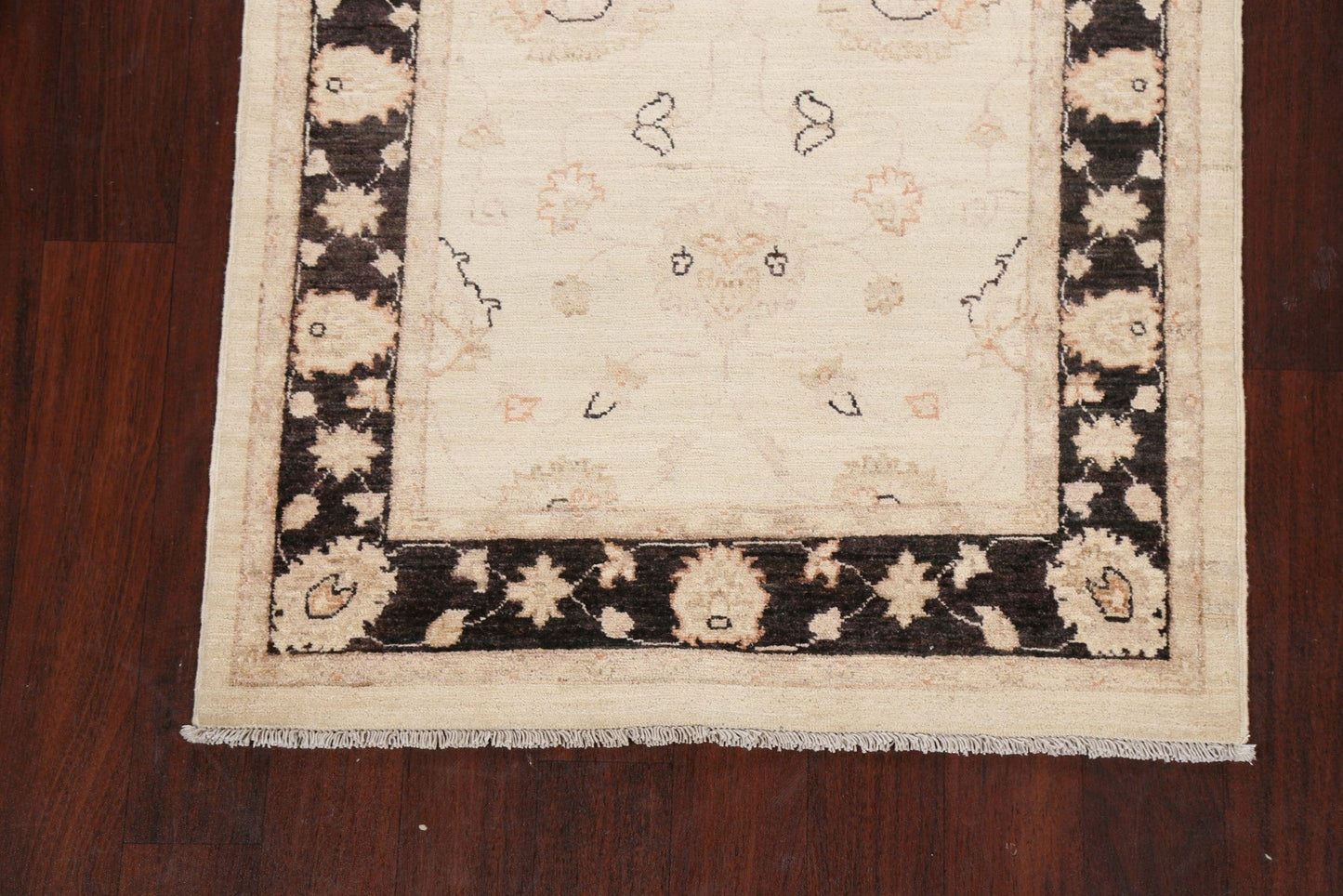 Vegetable Dye Peshawar Chobi Oriental Runner Rug 3x10