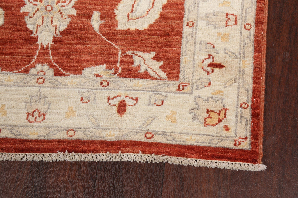 Vegetable Dye Peshawar Chobi Oriental Runner Rug 3x12