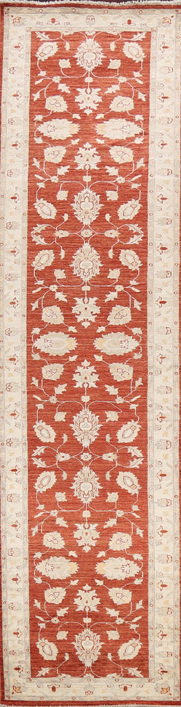 Vegetable Dye Peshawar Chobi Oriental Runner Rug 3x12