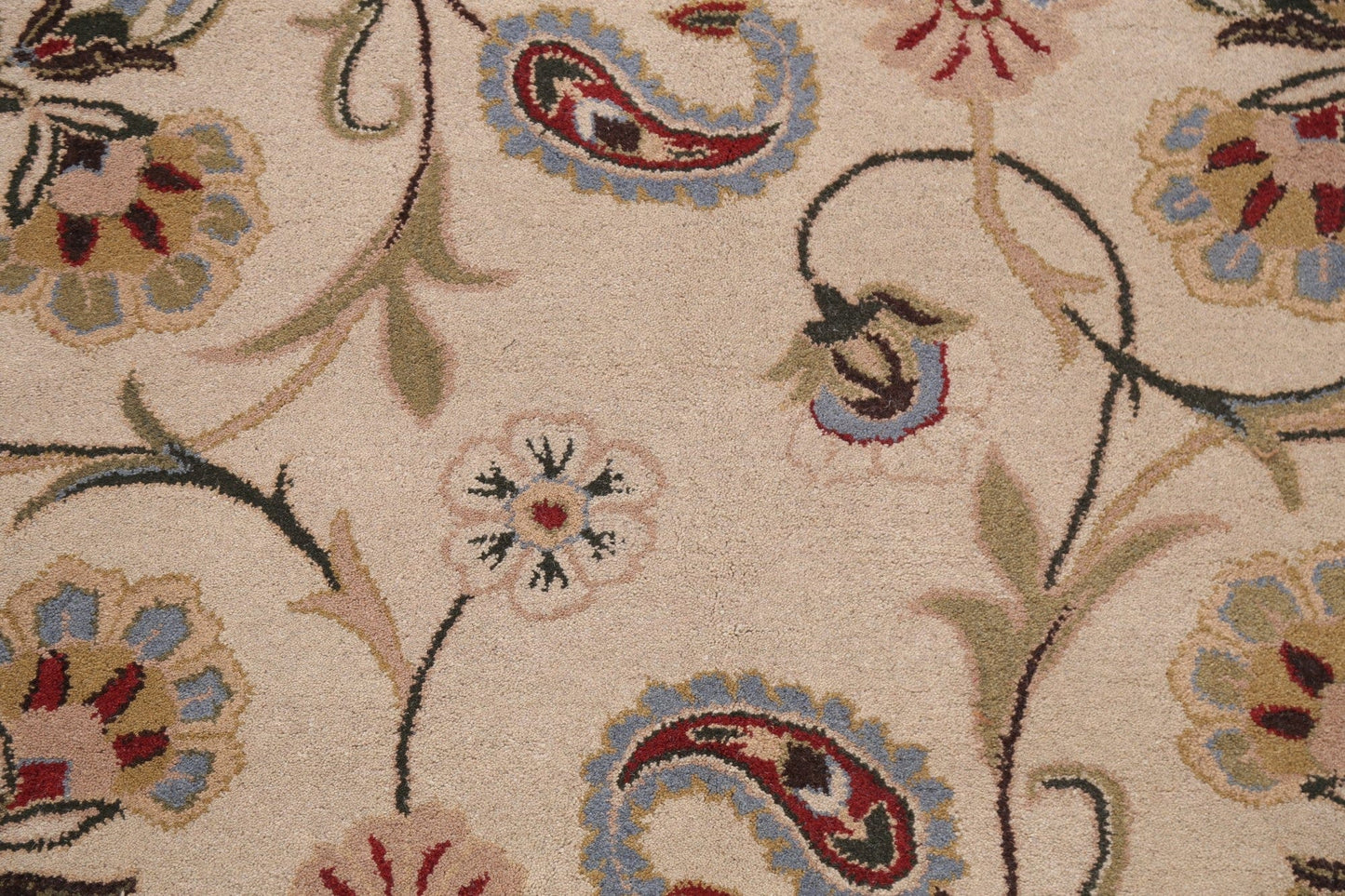 Floral Ivory Indian Area Rug 5x8