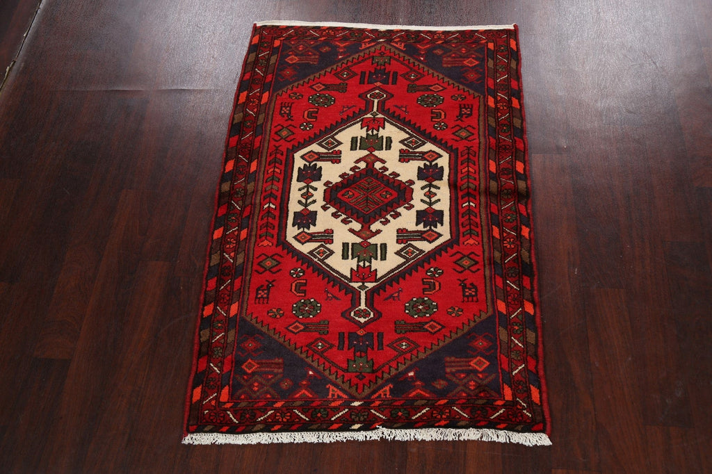 Tribal Geometric Hamedan Persian Area Rug 3x5