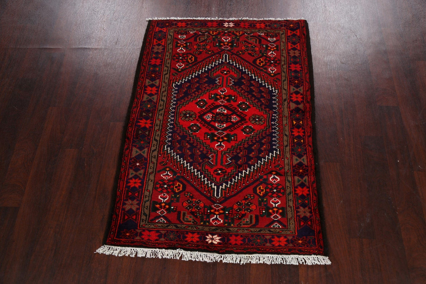 Tribal Geometric Hamedan Persian Area Rug 3x5