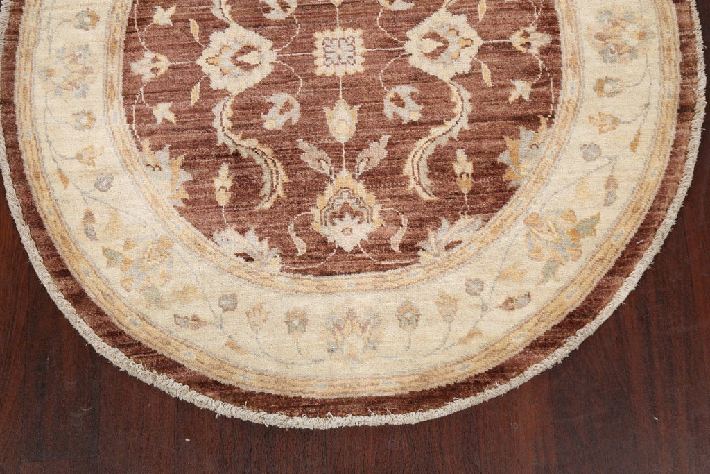 Round Vegetable Dye Peshawar Chobi Oriental Area Rug 4x4