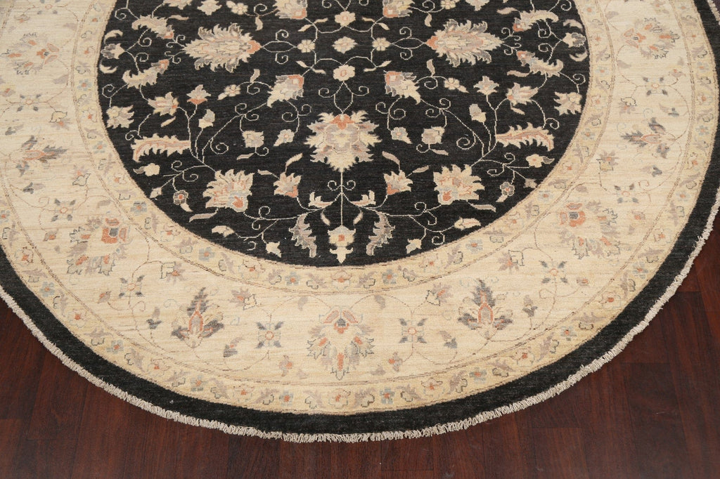 Round Vegetable Dye Peshawar Chobi Oriental Area Rug 8x8