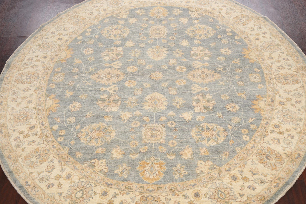 Vegetable Dye Round Peshawar Chobi Oriental Area Rug 8x8