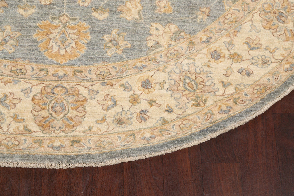 Vegetable Dye Round Peshawar Chobi Oriental Area Rug 8x8