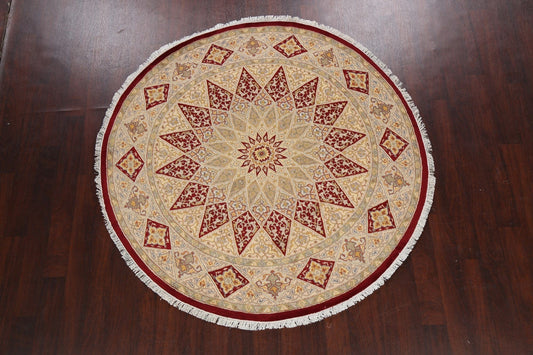 Round Vegetable Dye Royal Tabriz Oriental Area Rug 6x6