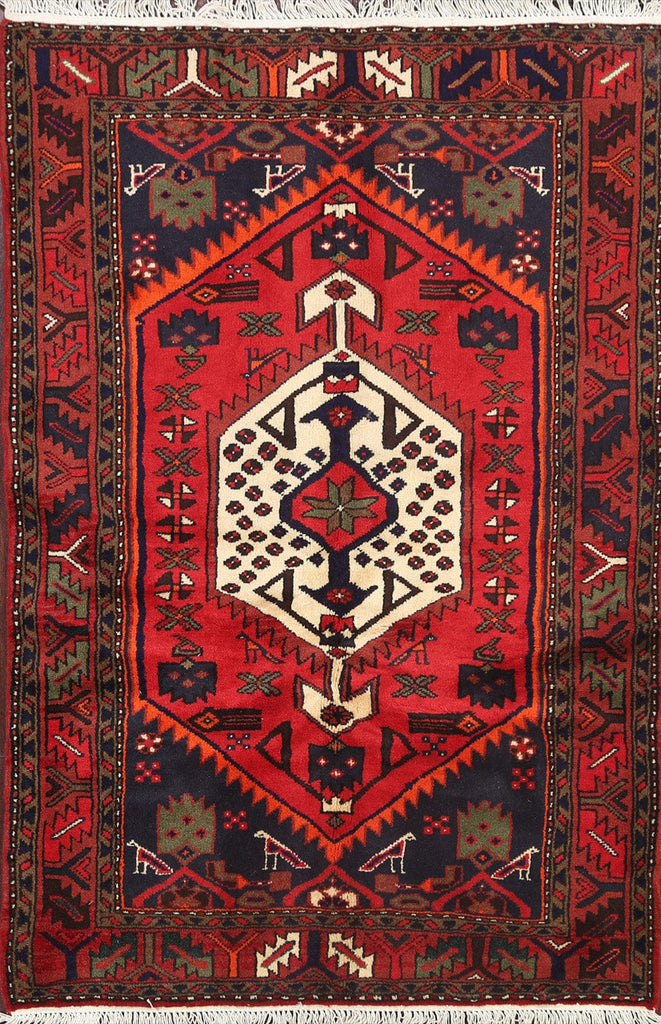 Tribal Geometric Hamedan Persian Area Rug 3x5