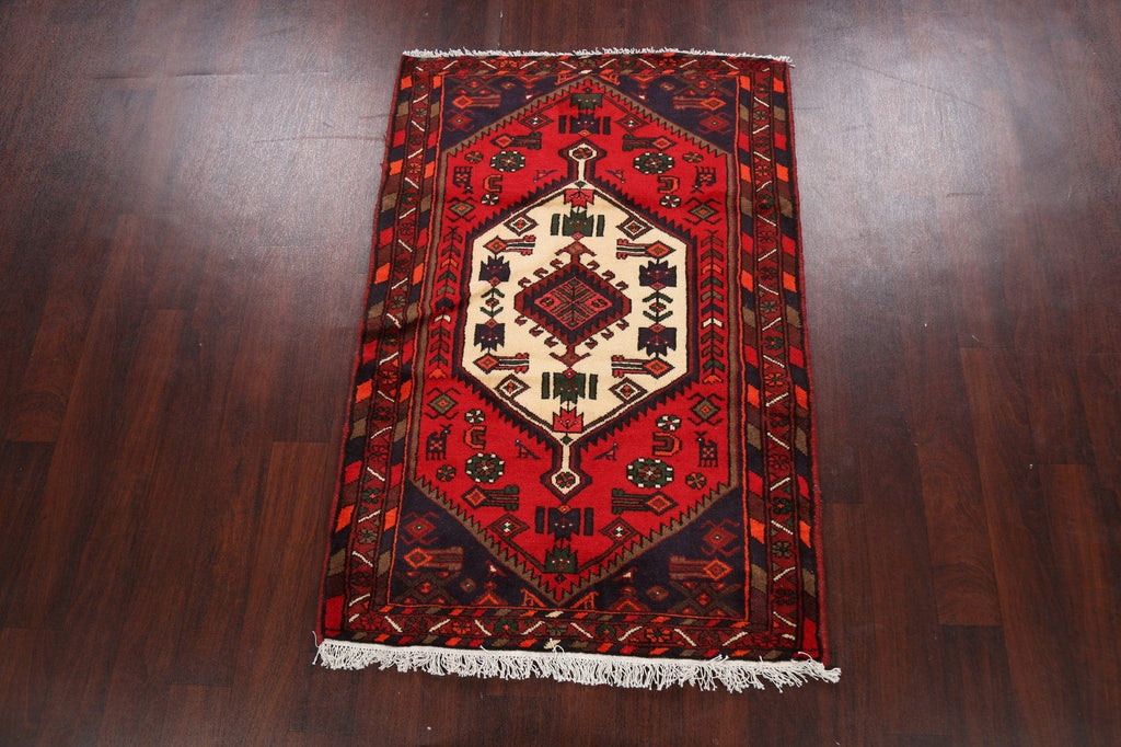 Tribal Geometric Hamedan Persian Area Rug 3x5