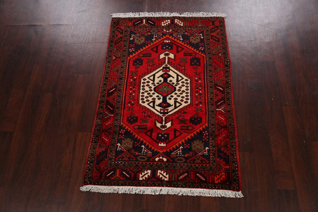 Tribal Geometric Hamedan Persian Area Rug 3x5