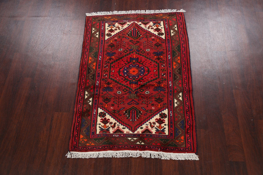 Tribal Geometric Hamedan Persian Area Rug 3x5