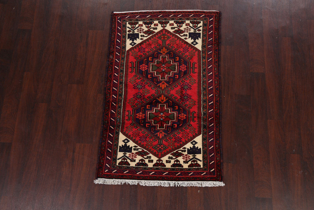 Geometric Hamedan Persian Area Rug 3x5