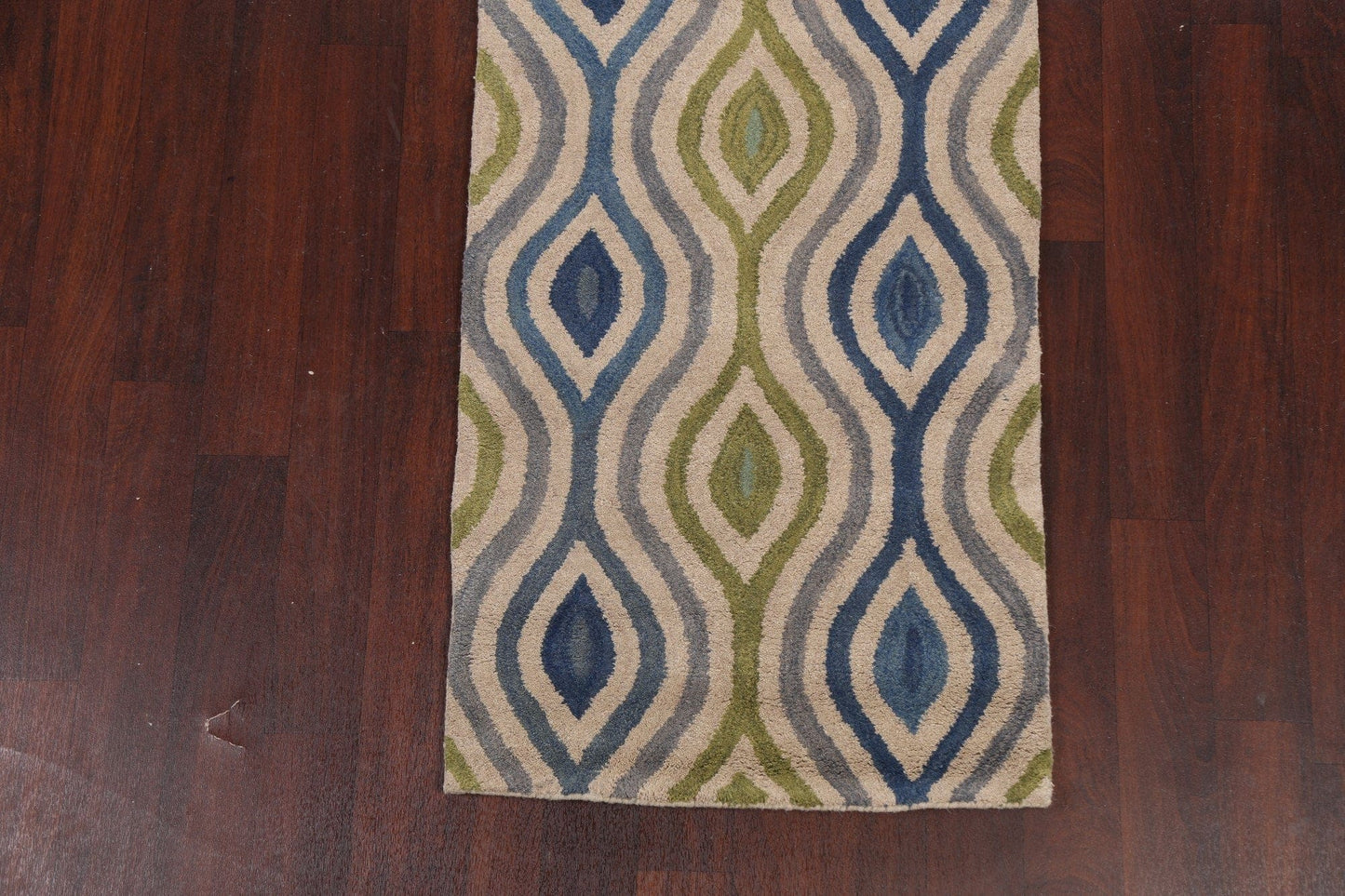 Contemporary Runner Rug 3x10