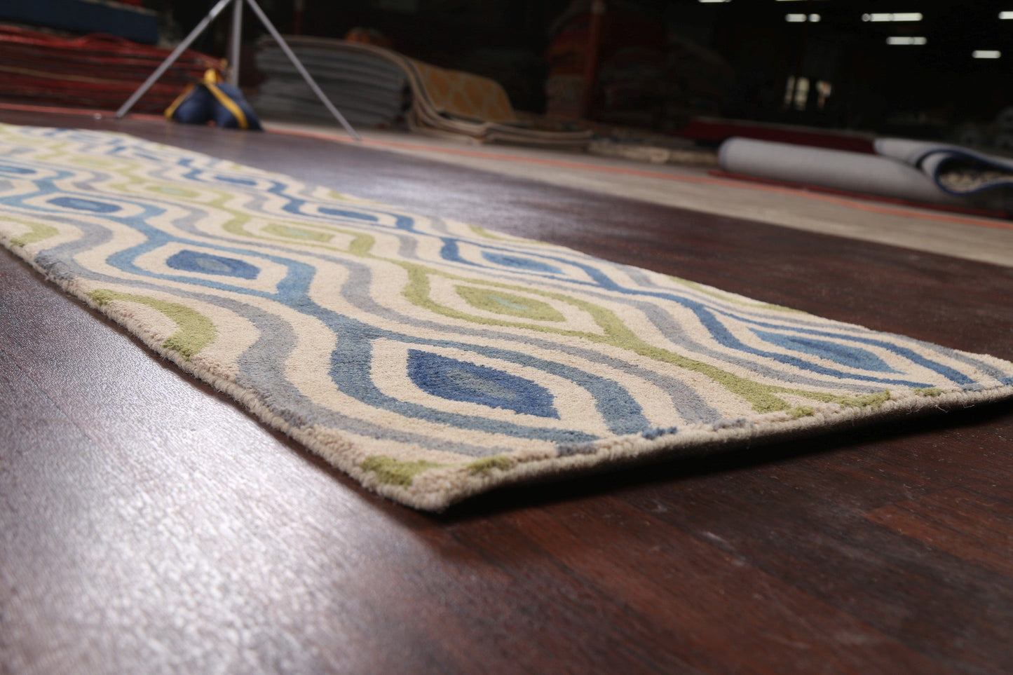 Contemporary Runner Rug 3x10