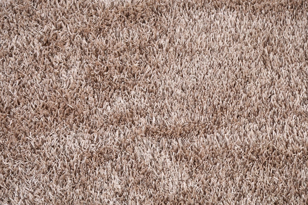 Champagne Plush Shaggy Area Rug 5x7