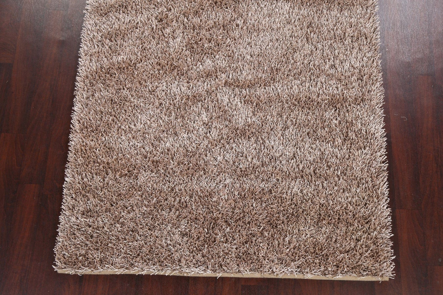 Champagne Plush Shaggy Area Rug 5x7