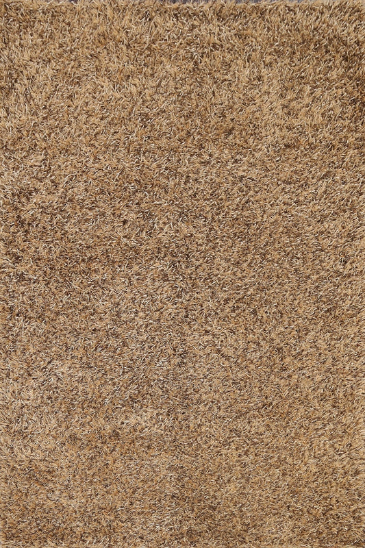 Shaggy Area Rug 5x7