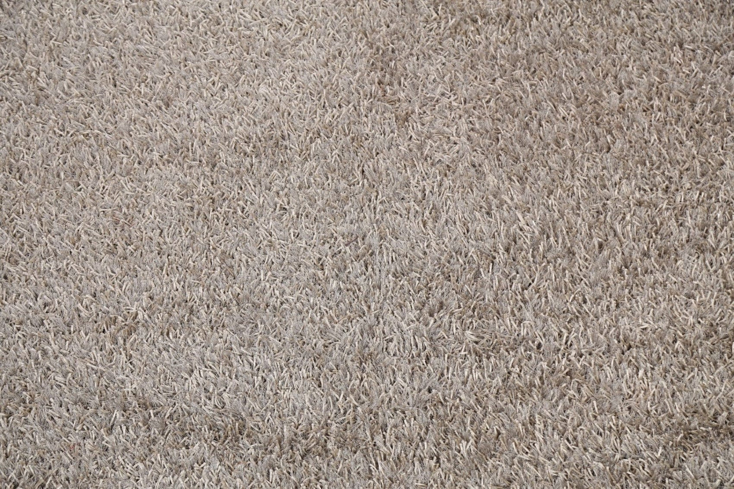 Plush Shaggy Area Rug 6x9