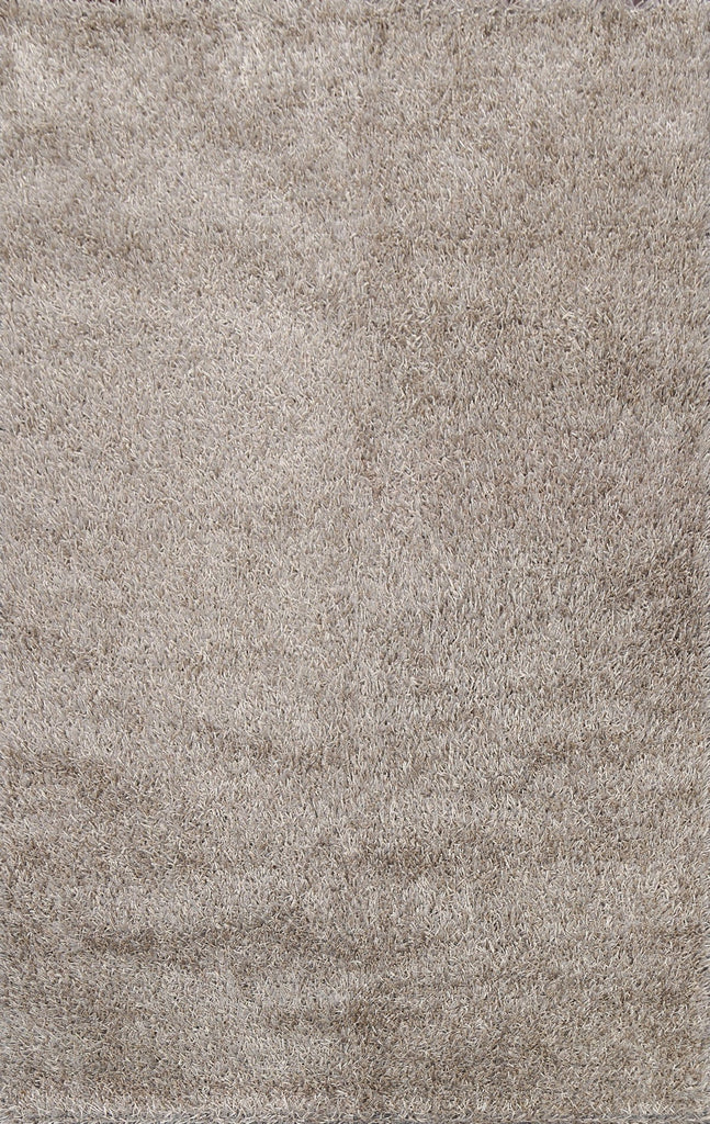 Plush Shaggy Area Rug 6x9