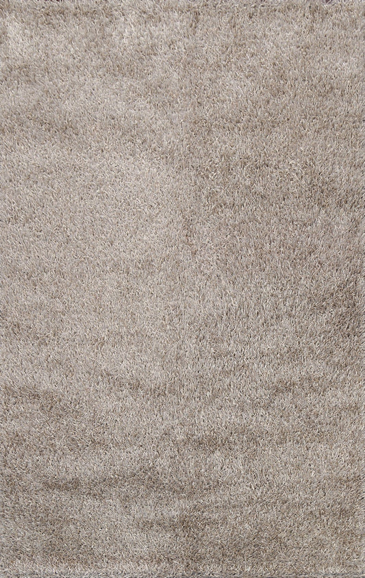 Plush Shaggy Area Rug 6x9