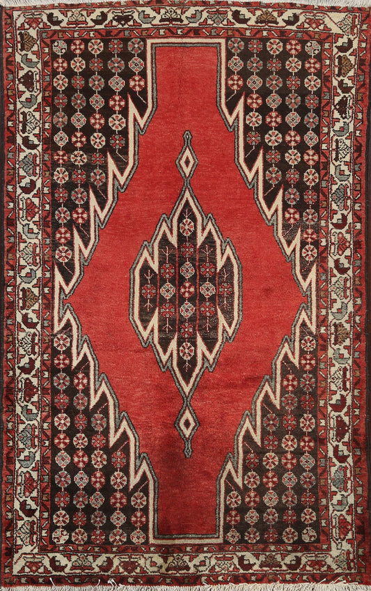 Geometric Hamedan Persian Area Rug 4x7