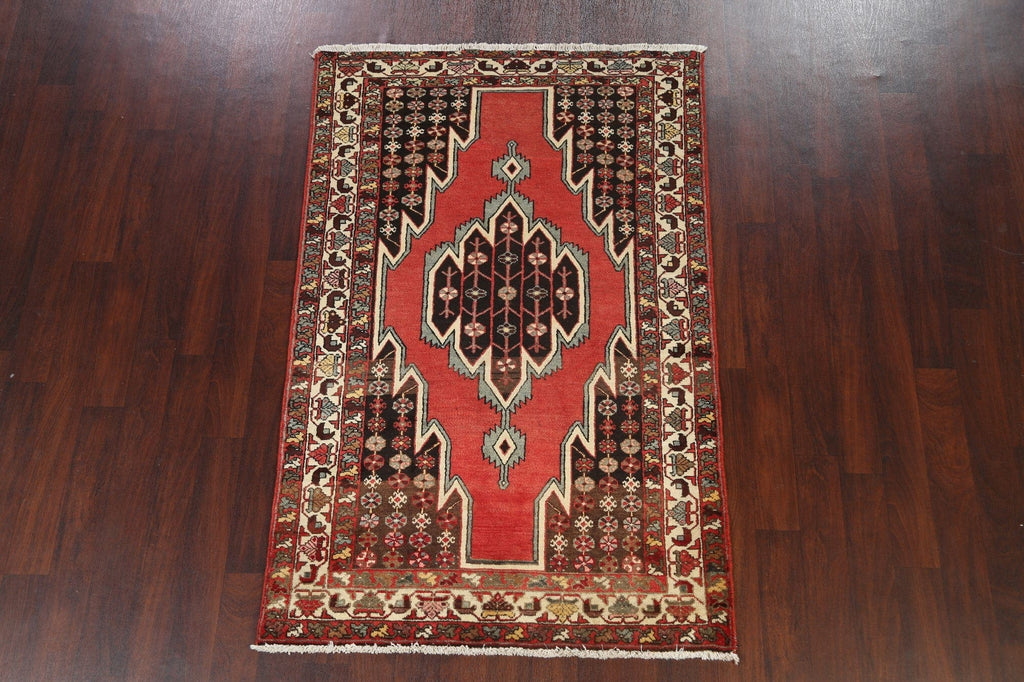 Geometric Hamedan Persian Area Rug 4x7