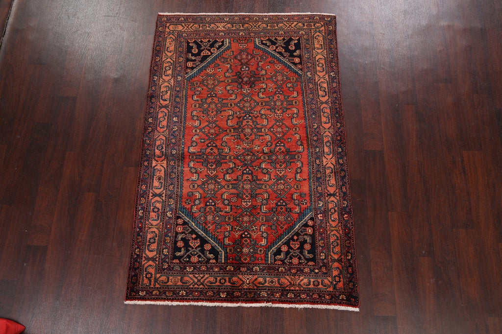 Geometric Malayer Persian Area Rug 4x7