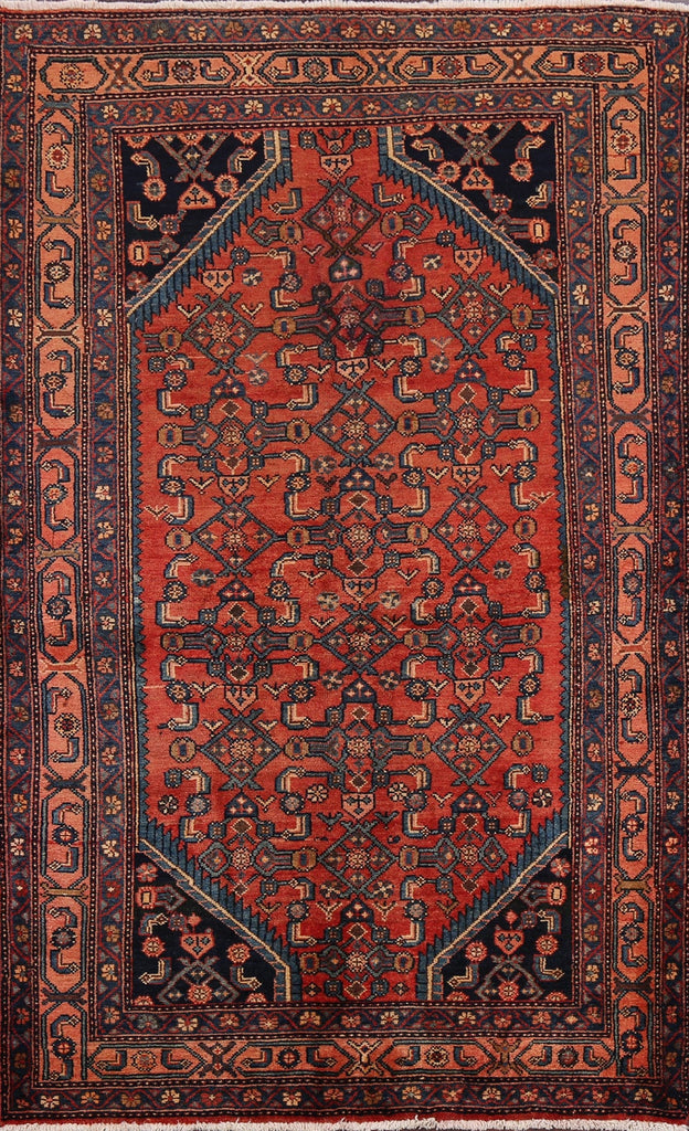 Geometric Malayer Persian Area Rug 4x7