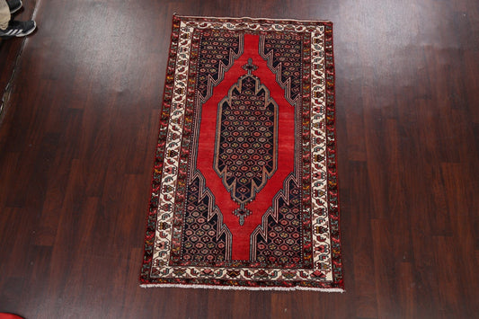 Geometric Malayer Persian Area Rug 4x7