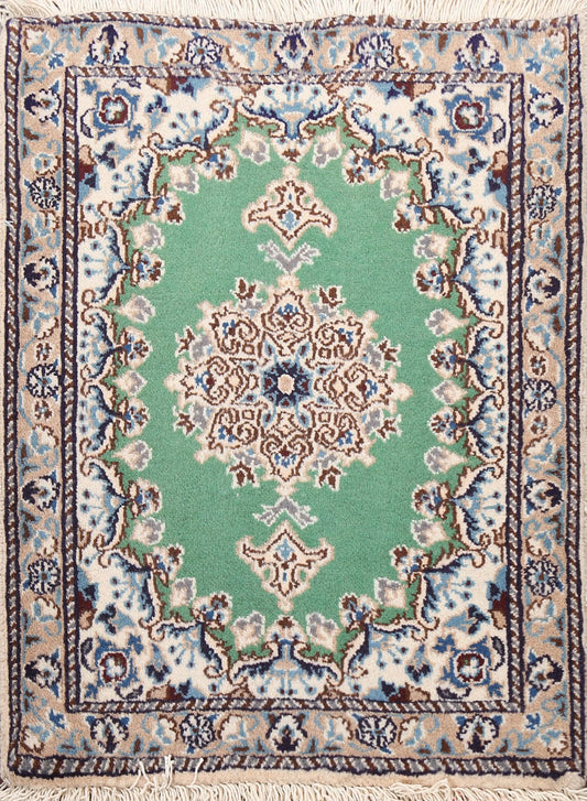 Geometric Nain Persian Area Rug 2x2