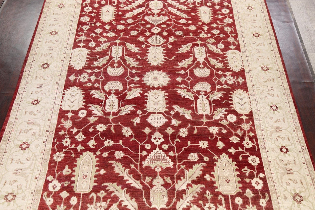 100% Vegetable Dye Peshawar Chobi Oriental Area Rug 10x14