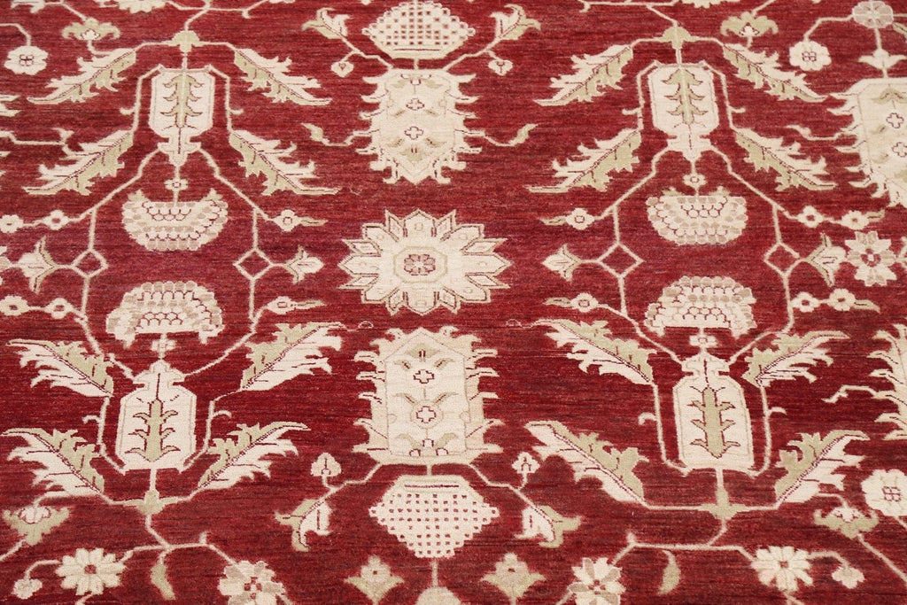 100% Vegetable Dye Peshawar Chobi Oriental Area Rug 10x14