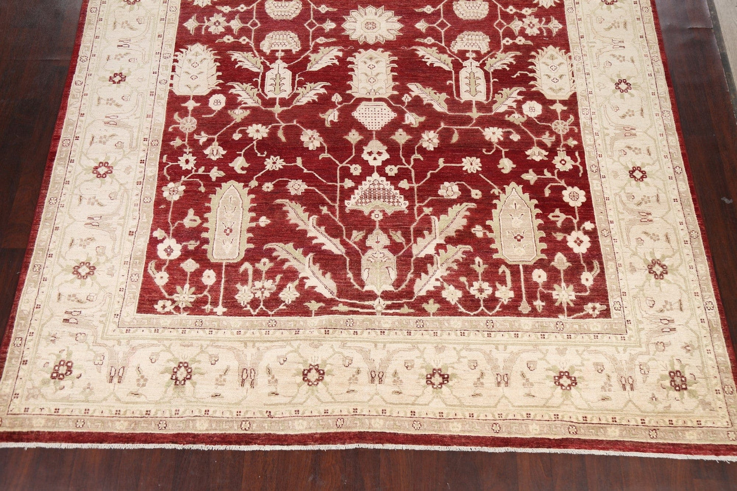 100% Vegetable Dye Peshawar Chobi Oriental Area Rug 10x14