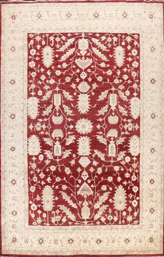 100% Vegetable Dye Peshawar Chobi Oriental Area Rug 10x14