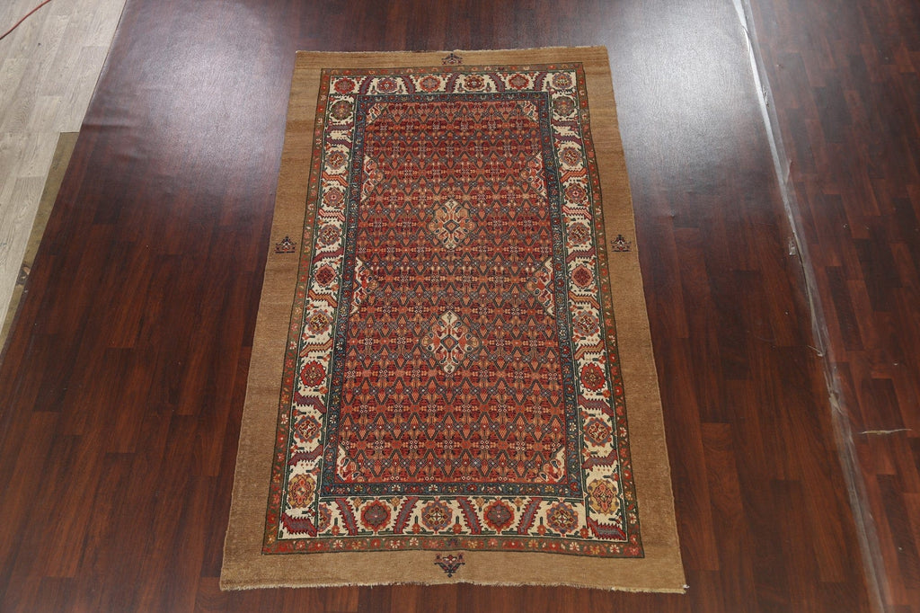 Pre-1900 Antique Vegetable Dye Serab Persian Area Rug 6x9