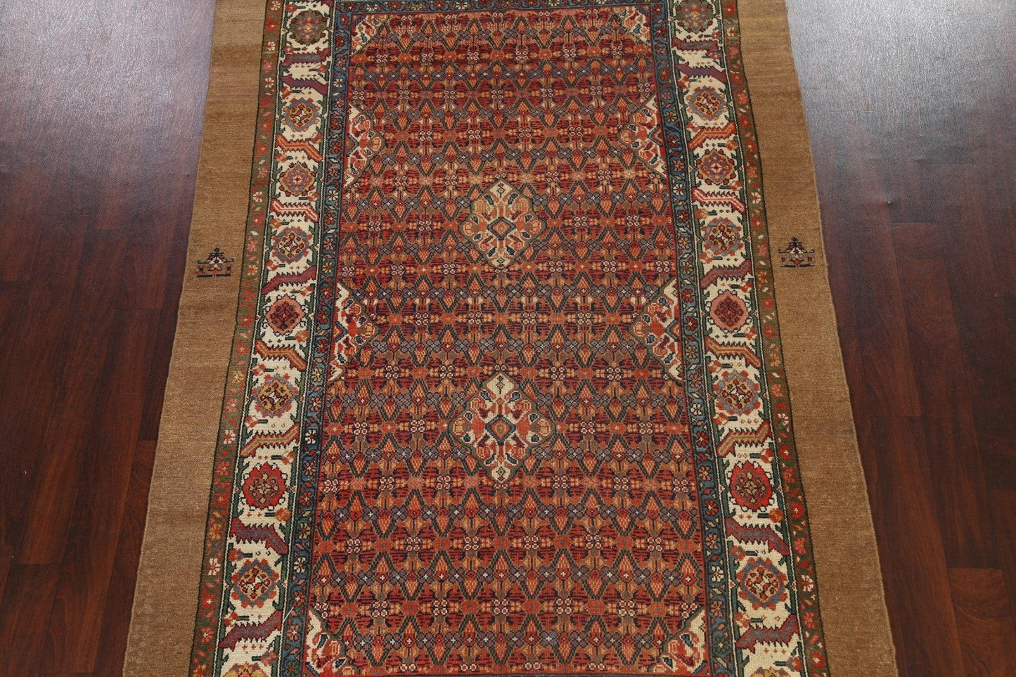 Pre-1900 Antique Vegetable Dye Serab Persian Area Rug 6x9