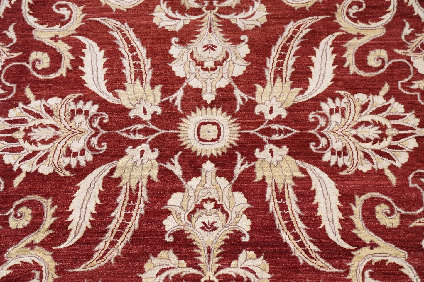 Floral Peshawar Chobi Oriental Area Rug 8x10