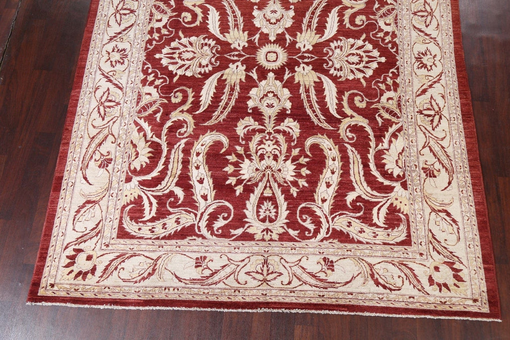 Floral Peshawar Chobi Oriental Area Rug 8x10