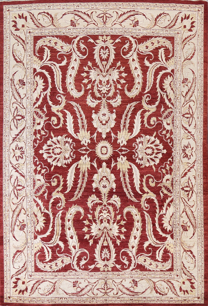 Floral Peshawar Chobi Oriental Area Rug 8x10