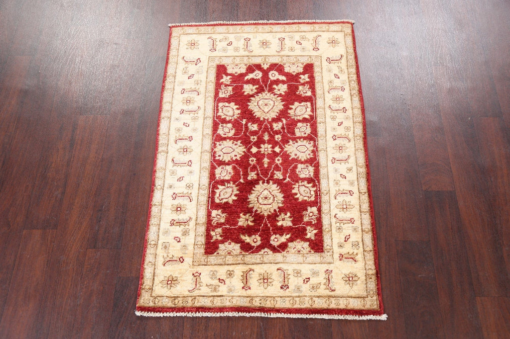 Floral Peshawar Oriental Area Rug 3x4