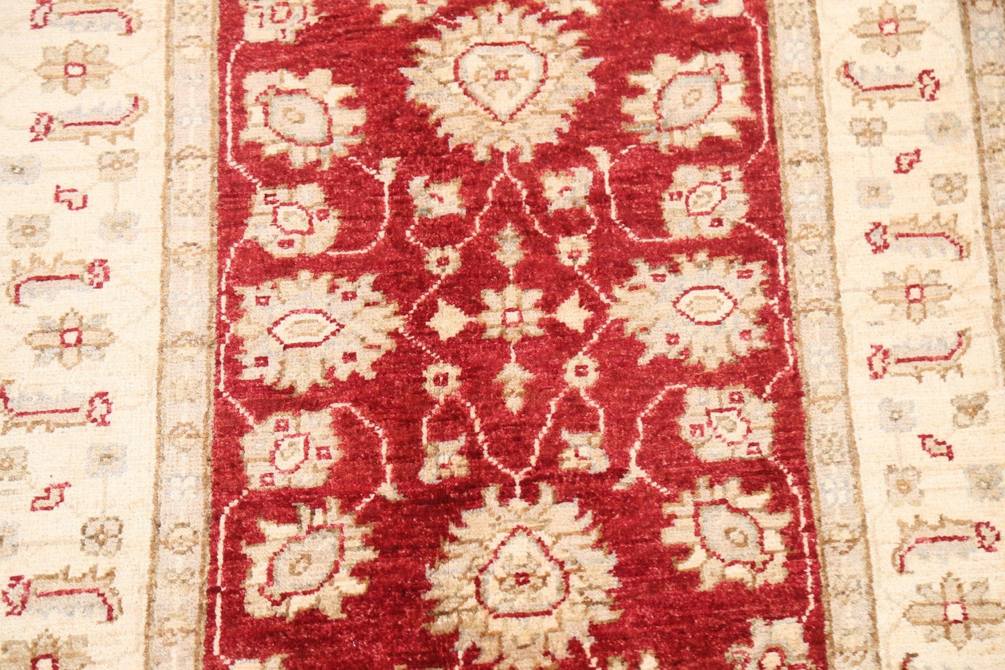 Floral Peshawar Oriental Area Rug 3x4