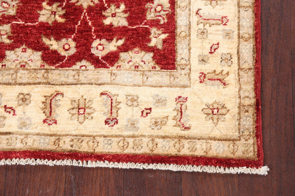 Floral Peshawar Oriental Area Rug 3x4