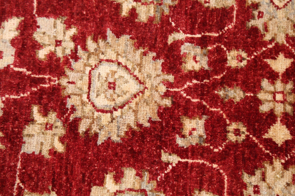 Floral Peshawar Oriental Area Rug 3x4