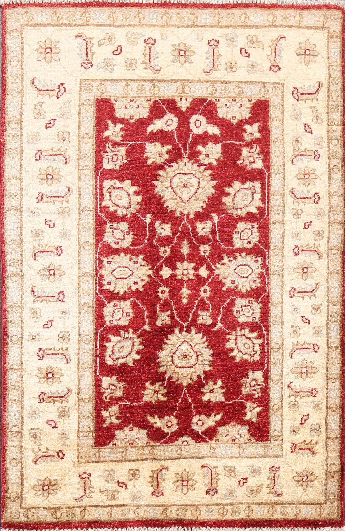 Floral Peshawar Oriental Area Rug 3x4