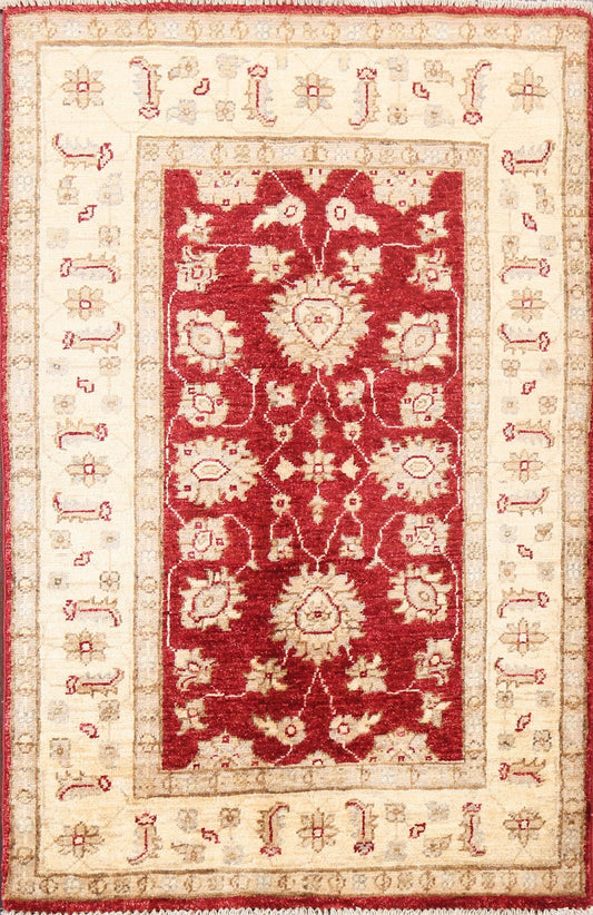 Floral Peshawar Oriental Area Rug 3x4