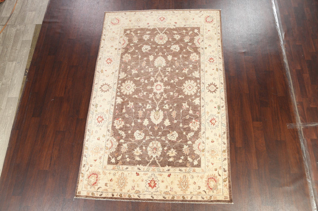 Vegetable Dye Peshawar Oriental Area Rug 6x9